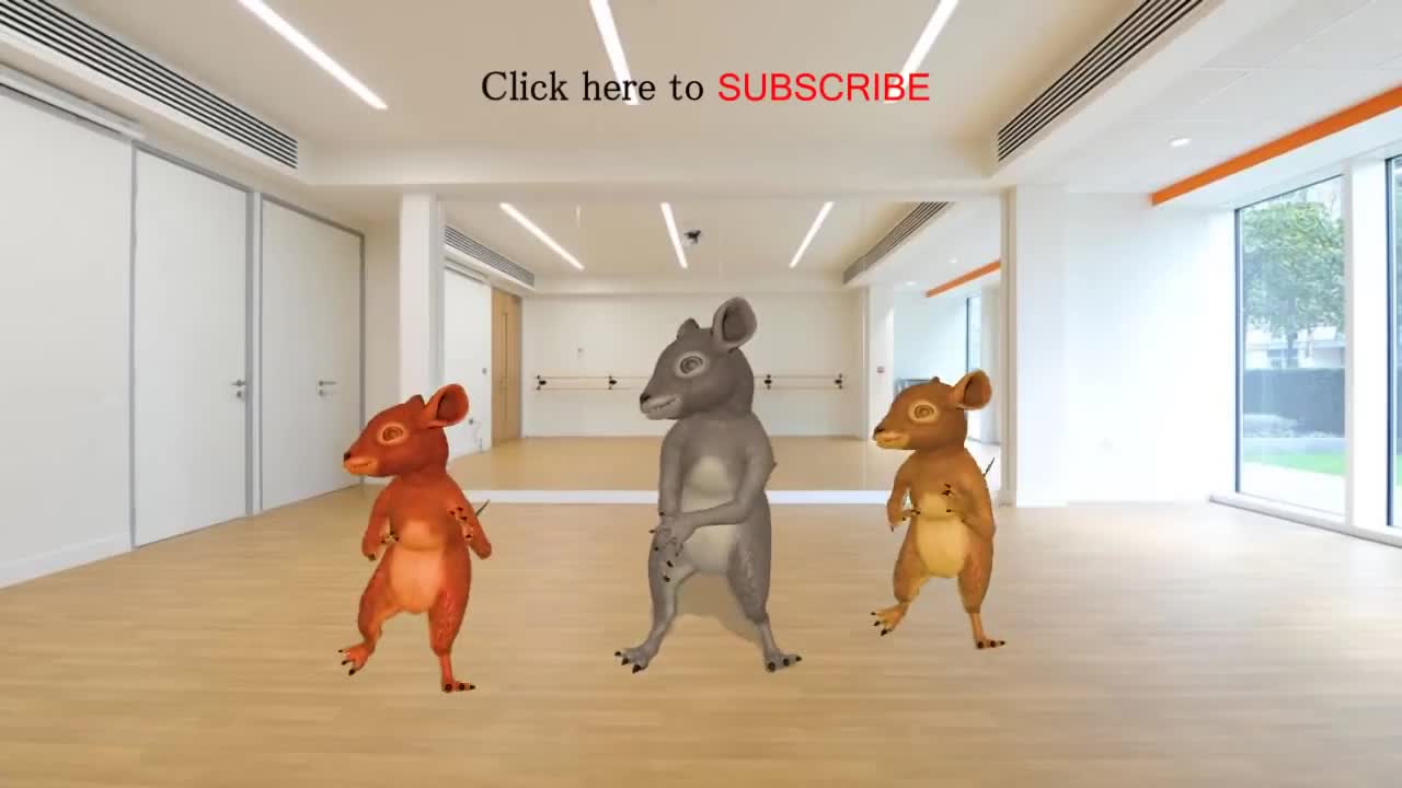 Funny Rat dance ..love rat fun