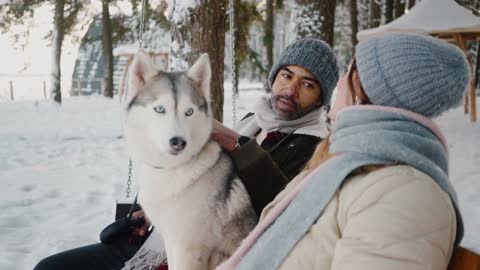 See the reaction of this dog in this beautiful scene