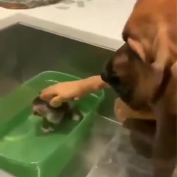 Don't worry little one love you