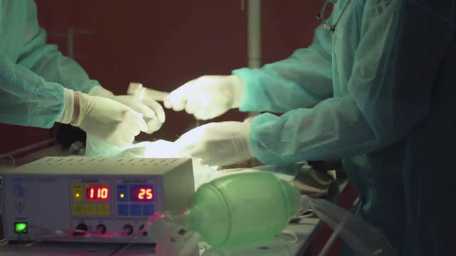 The cat lies on the operating table close up. Hands of two doctors in gloves making