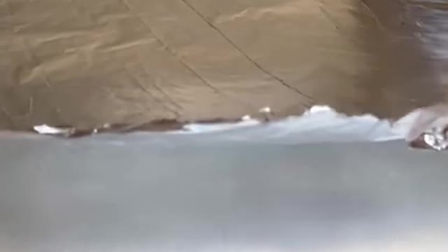 4.The Craziest Magic Trick.... #shorts