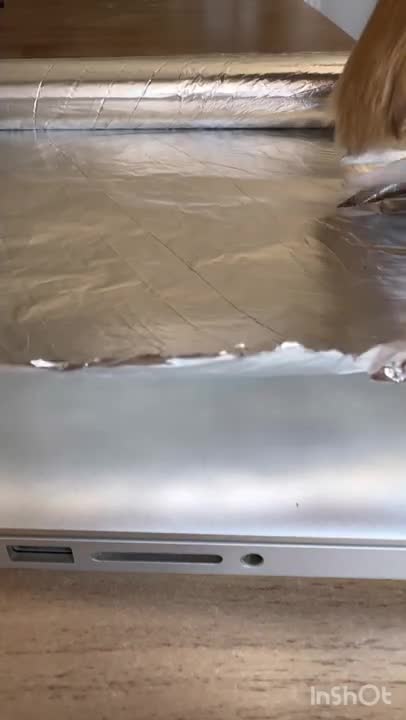 4.The Craziest Magic Trick.... #shorts