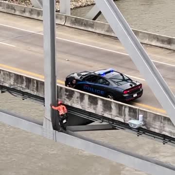 Engineer saves dog on bridge 120 feet over Mississippi River