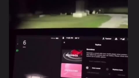 Tesla sees ghost