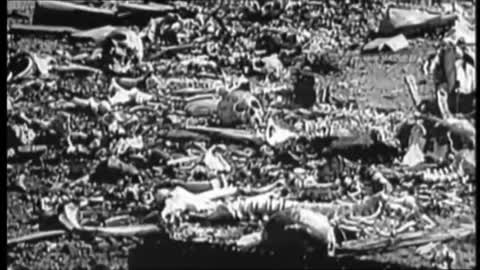 Science and the Swastika - Episode 4_ The Good German (480p_30fps_H264-128kbit_AAC)