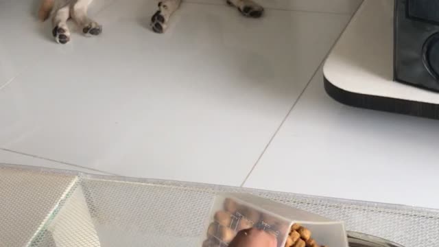 The love for Food