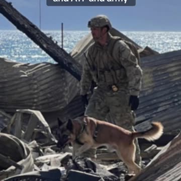 🇺🇸 Drone footage shows the coverup going on in Hawaii.