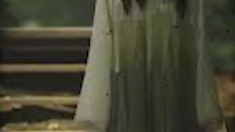 Ghost Video |Horror Video |Ghost| Real Shetani Devil The End |Scary Video