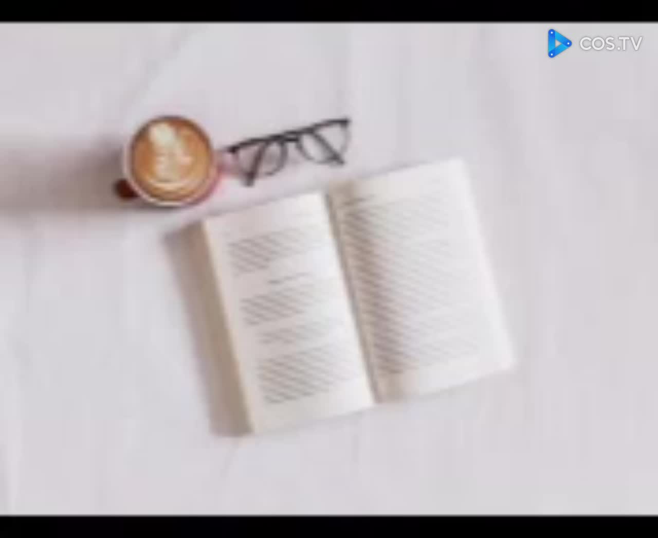 Os 100 melhores livros - Você não pode deixar de ler (Audio Livro)