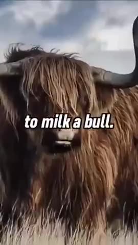 Absolute brilliance from a farmer in Iowa on gender.