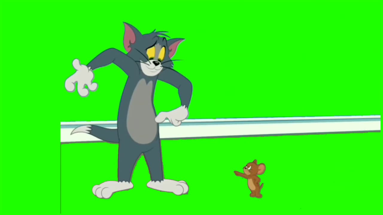 Green screen tom and jerry cartoon