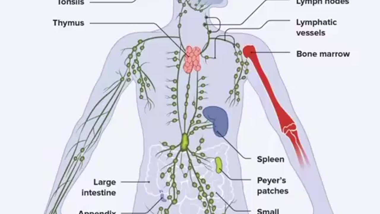 Poison Straws