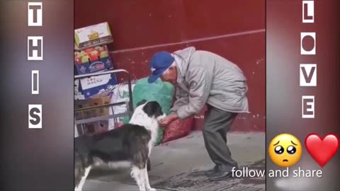 Animal help and a old man