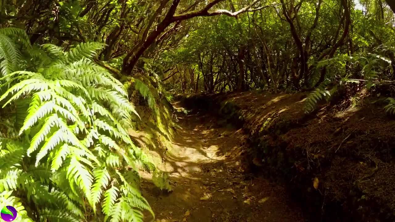 Best Music for yoga, study, sleep, motivation & relax - #1