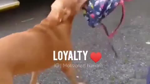 LOYALTY ♥️♥️