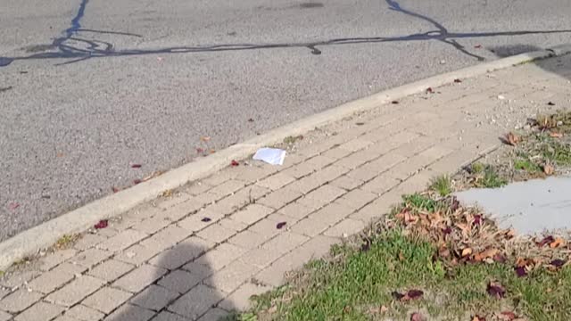 Peaceful Protest of FOX News, Southfield, MI, November 14, 2020