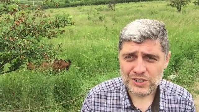 Miroljub Petrović - Izolacija - Sam izlečio rak