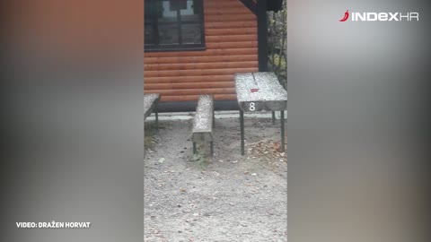 Pao snijeg na Ivanščici