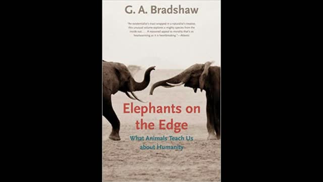 What Animals Teach About Us Re: Humanity- Gay Bradshaw, Host Dr. Zoh Hieronimus