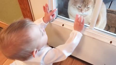 Baby and Cat Fun and Fails - Funny Baby Video