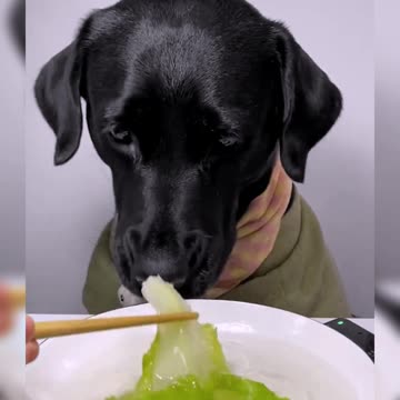 The military coat is straightened out