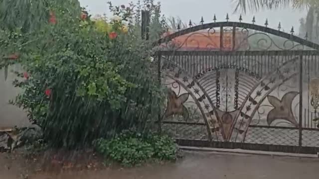 Heavy Rain