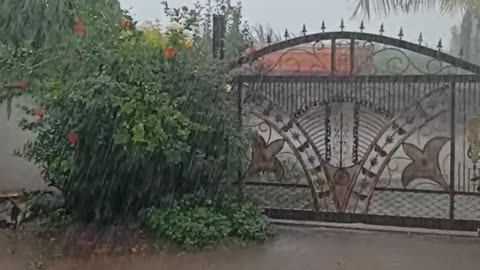 Heavy Rain