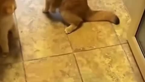 Tyson