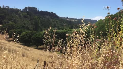 California Residents May See Water Bill Increase
