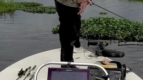 Big fails 😂😂😂 #funny #fails #shorts #reels #viral #fail #humorexpose