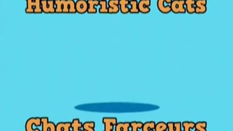 Humoristic Cats 😹 Chats Farceurs - n°289 #Shorts
