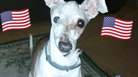Winston Churchill with an Independence Day wish for you.
