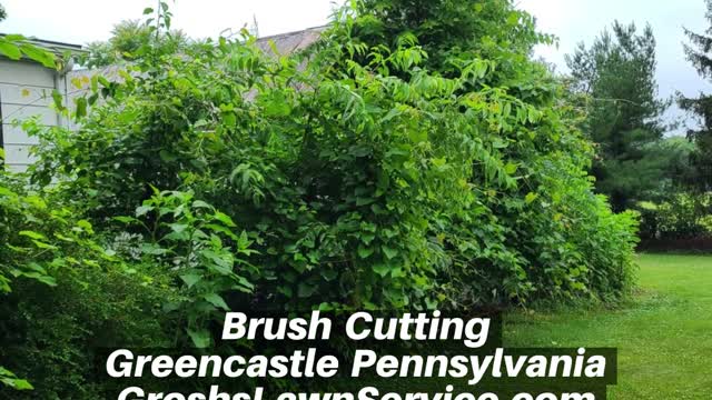 Brush Cutting Greencastle Pennsylvania Landscape Contractor