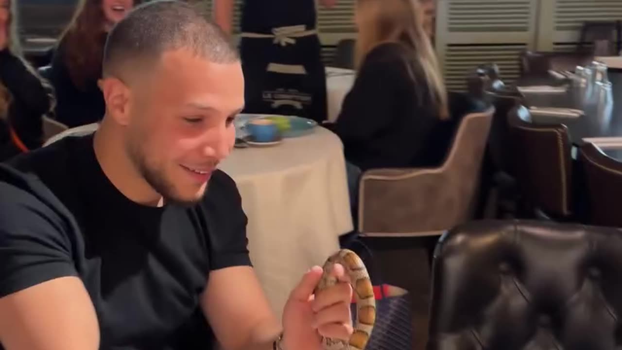 The magician turned the girl's handkerchief into a 🐍