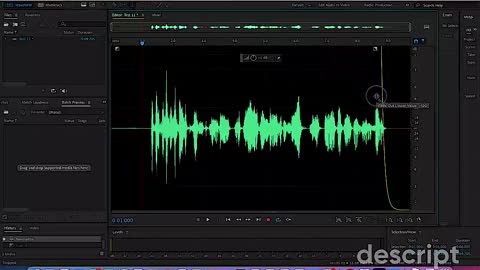 Adobe Audition: The basics plus more