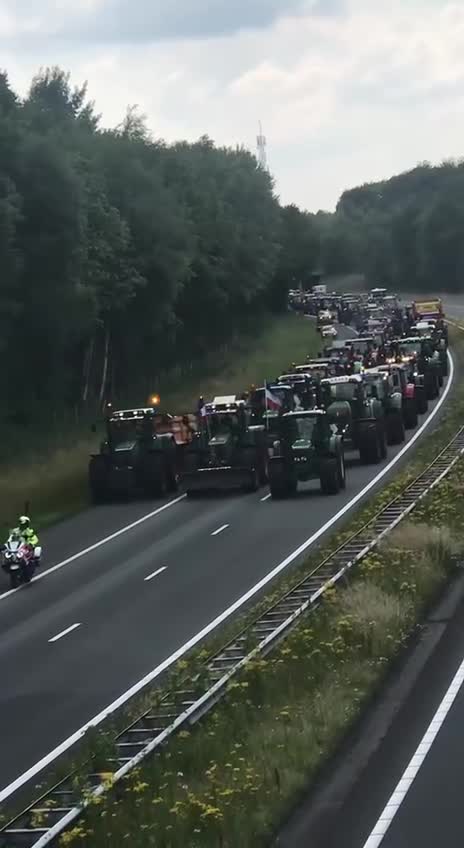 The Dutch farmers are on the roll.