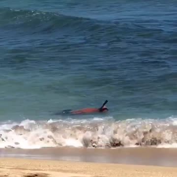 Man snorkeling on beach wears black shorts
