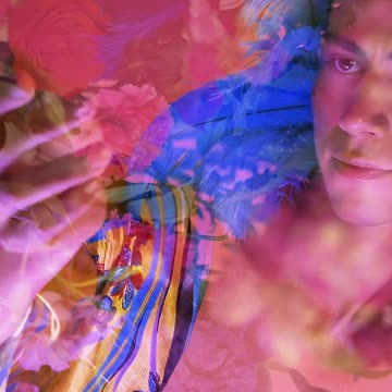 Abstract LGBTQ video of a boy appreciating flowers