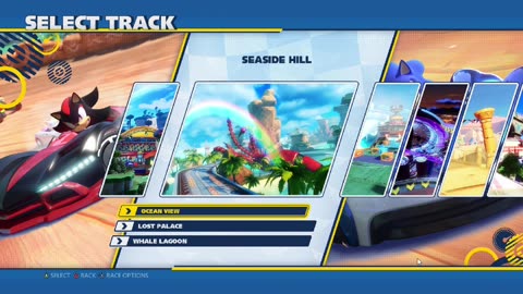 Team Sonic Racing