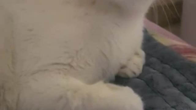 I'm hungry, give me food - MaengDung