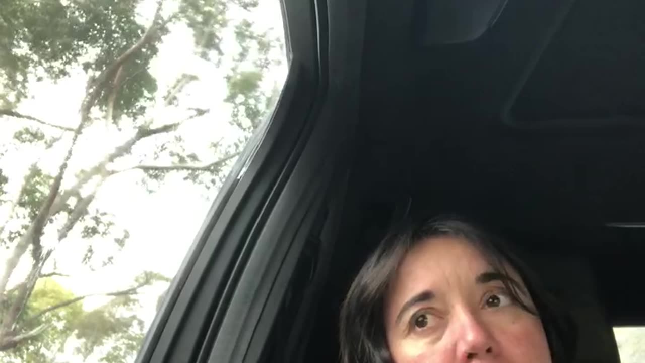 My First Hair Cut in Two Years