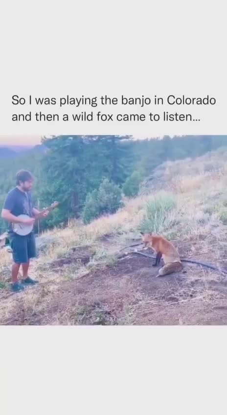 Fox-trotting to Banjo