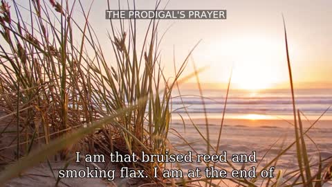 THE PRODIGAL'S PRAYER