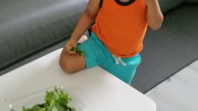 2 year old eating organic spinach and lettuce. Teach your kids to eat healthy.