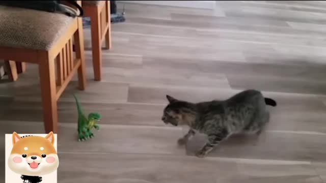 Funny video, I can't stop laughing when I watch it haha