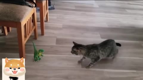 Funny video, I can't stop laughing when I watch it haha