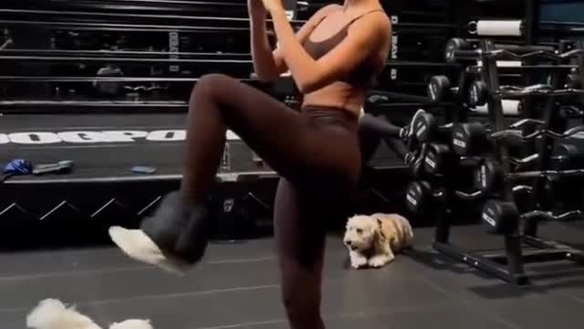 Supermodel training