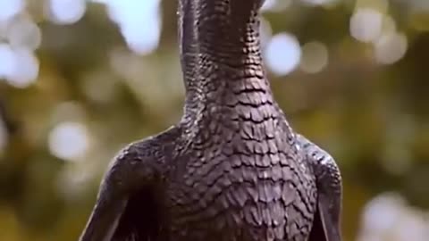 Dragon from games of thrones