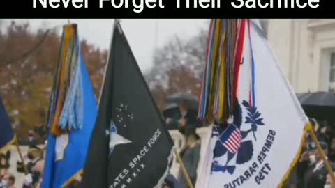 Veterans Day President Trump Shows Respects