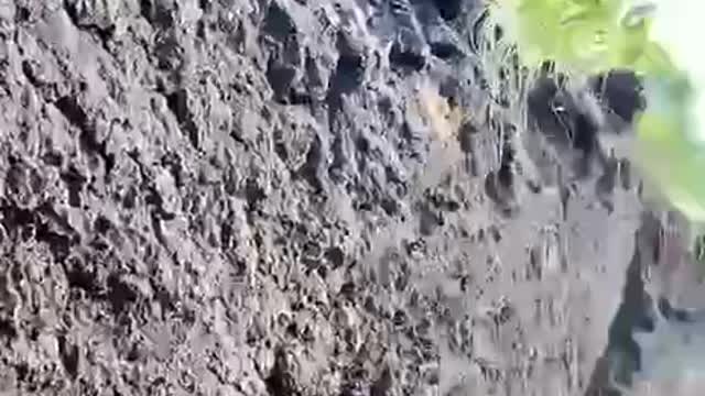 Ukraine troops fighting in trenches